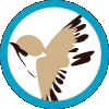 Сетка от птиц ОРТОФЛЕКС (2Х500 мп)